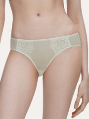 Simple Rococo Lace Brief