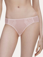 Simple Rococo Lace Brief