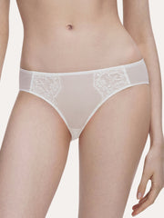 Simple Rococo Lace Brief