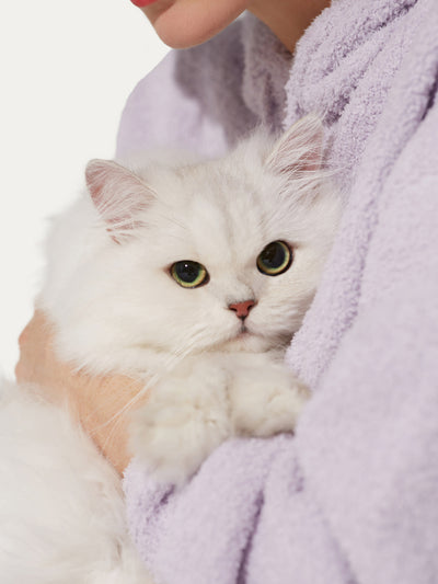 Tender Love Soft Cloud Cat Ear Hooded Pajamas Set